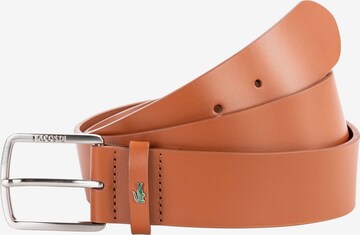 Ceinture LACOSTE en marron