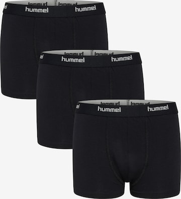 Hummel Underpants 'Nalle' in Black: front