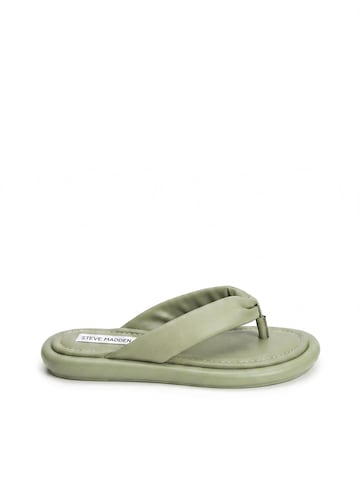 Infradito 'CEELO AGAVE' di STEVE MADDEN in verde: frontale
