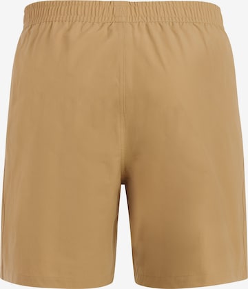 PROTEST Badeshorts 'PRTBAKY' in Braun: Vorderseite