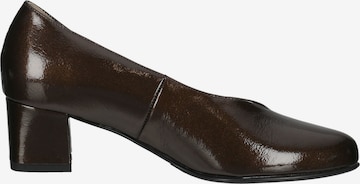 HASSIA Pumps in Brown