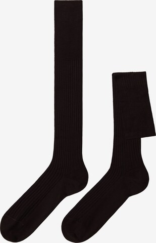 CALZEDONIA Socks in Brown: front