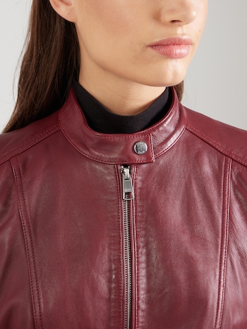 BOSS Jacke 'C_Saleste1' in Rot