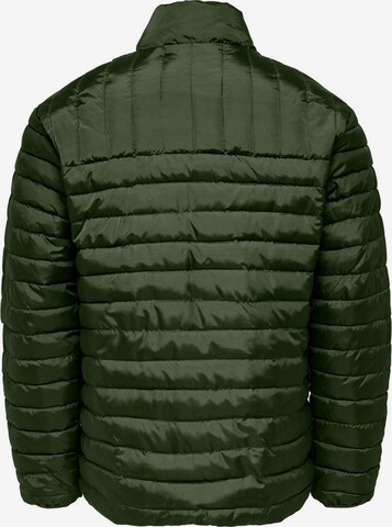 Veste mi-saison Only & Sons en vert