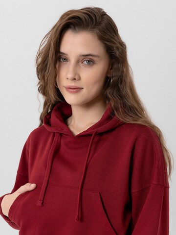 Jacey Quinn Sweatshirt 'Dora' in Rot