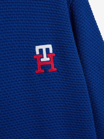 TOMMY HILFIGER Sweater in Blue