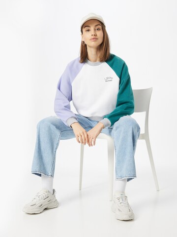 LEVI'S ® Sweatshirt 'Vintage Raglan Crewneck Sweatshirt' in Mixed colors