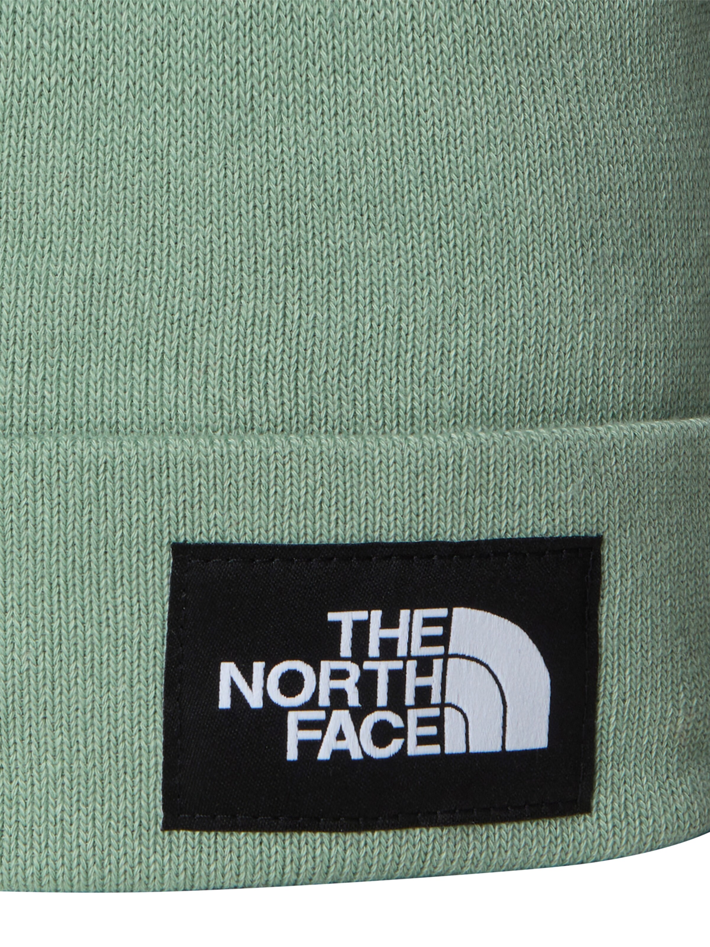 THE NORTH FACE Beanie in Green