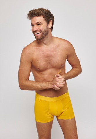 SNOCKS Boxer shorts in Yellow