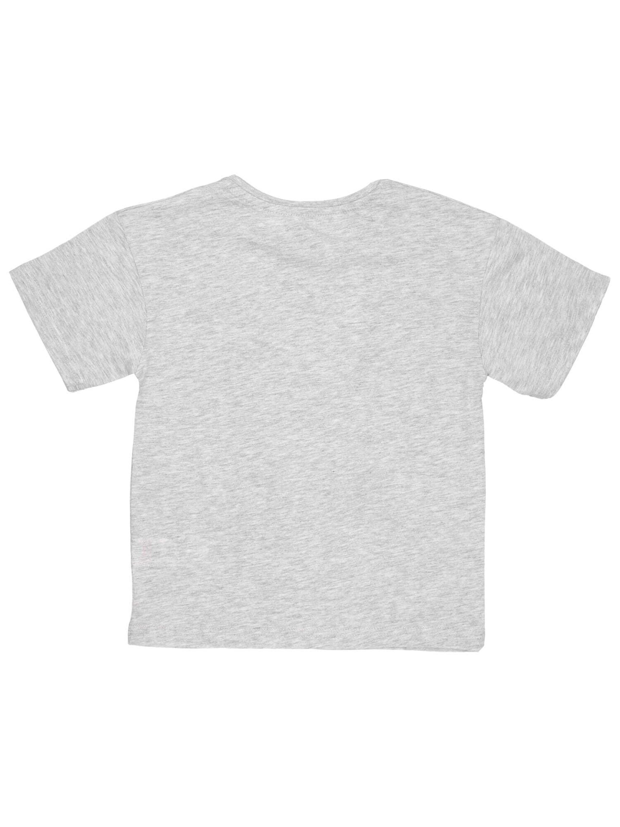 aptex Shirt in Grey