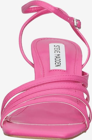 STEVE MADDEN Strap Sandals in Pink