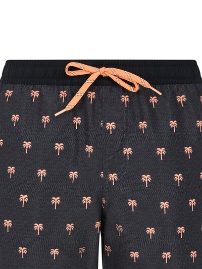 PROTEST Badeshorts 'PRTParco' in grau, Produktansicht