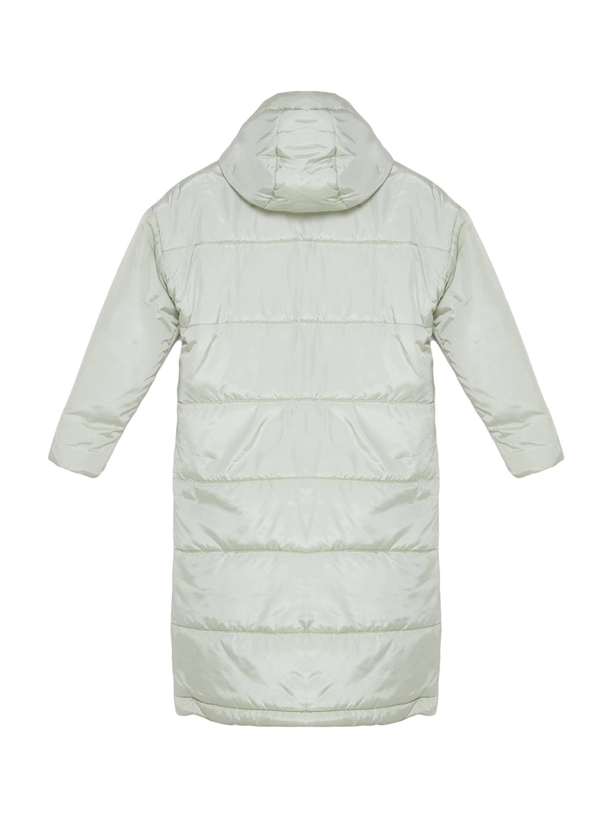 Trendyol Between-seasons coat in Green