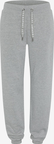 Jette Sport Pants in Grey: front