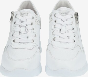 Nero Giardini Sneakers in White