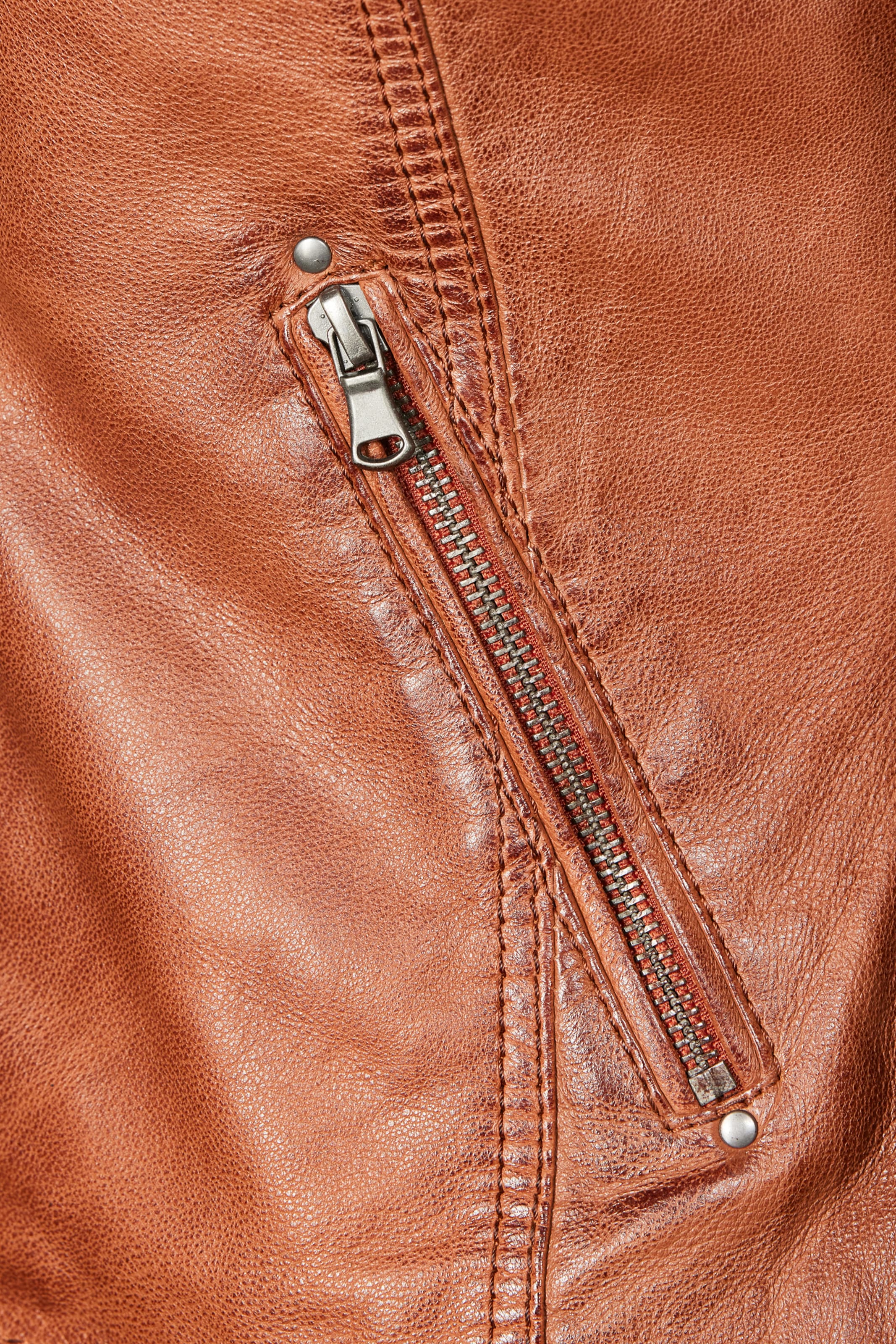 7ELEVEN Tussenjas 'SERuby' in Bruin