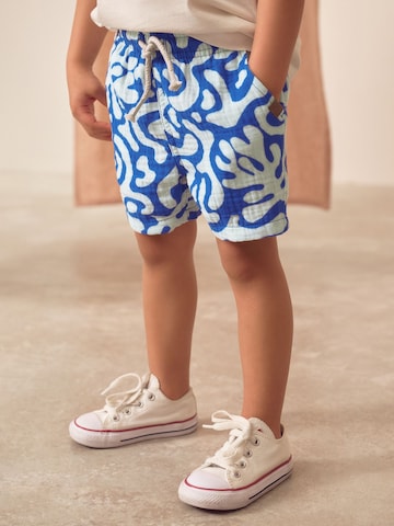 Regular Pantaloni de la Next pe albastru