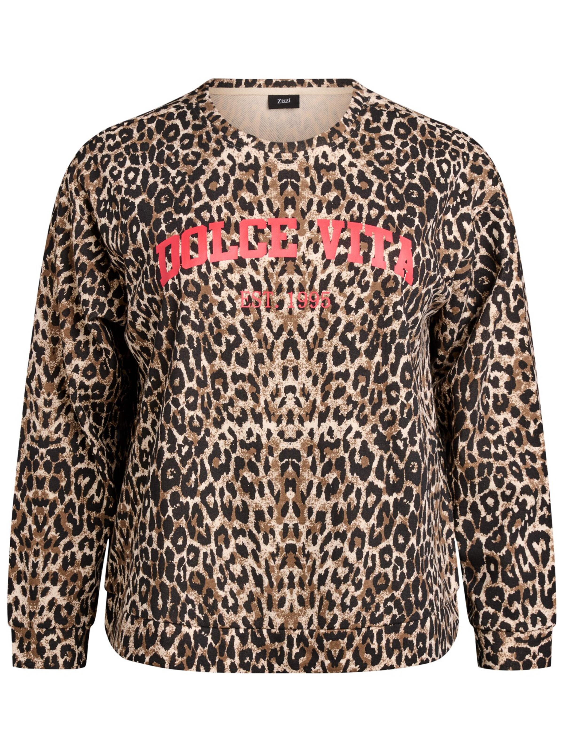 Zizzi Sweatshirt 'JACKIE' in Bruin: voorkant