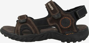 Dockers by Gerli Hiking Sandals in Brown