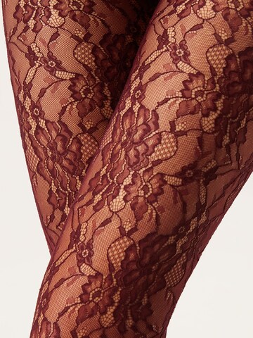CALZEDONIA Strumpfhose in Rot