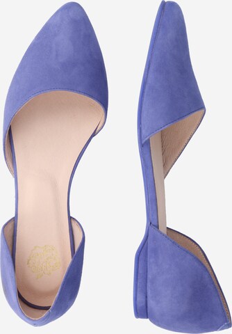 Apple of Eden Ballet Flats 'Blondie 56' in Purple