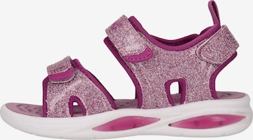 ZigZag Sandals 'Flour' in Purple: front