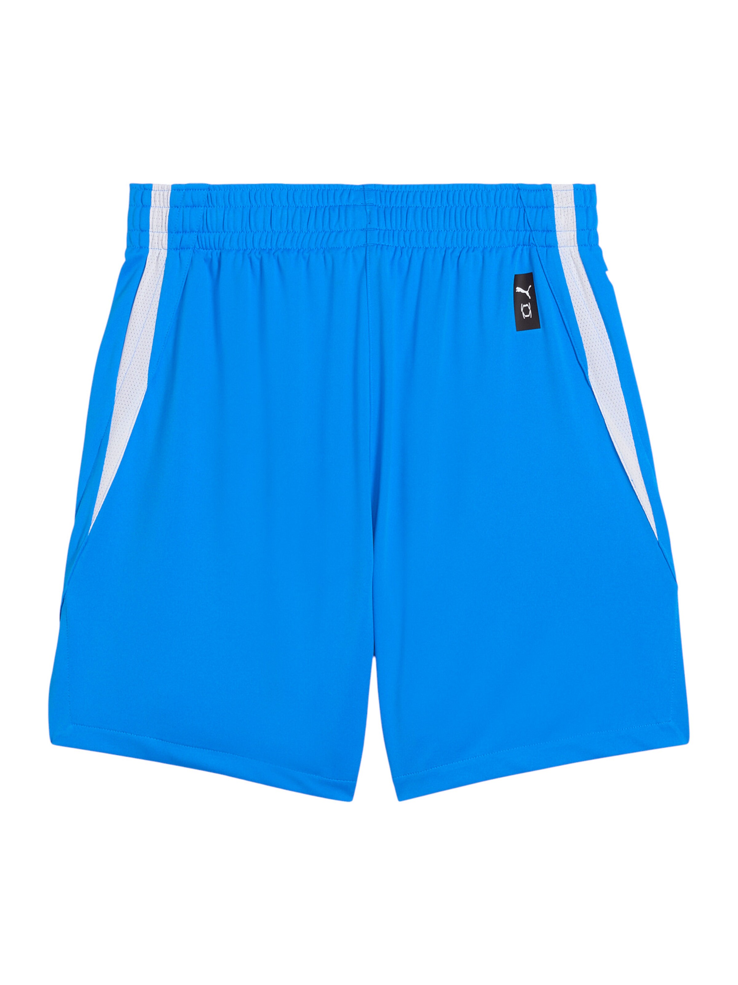 PUMA Regular Workout Pants 'TeamJAWS Starter' in Blue