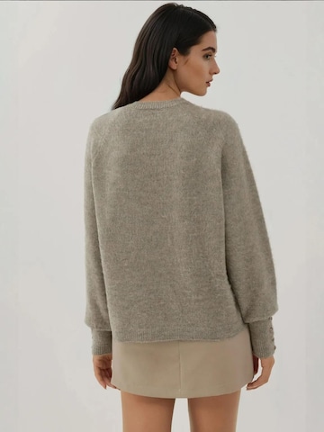 Hiccup - Pullover em cinzento