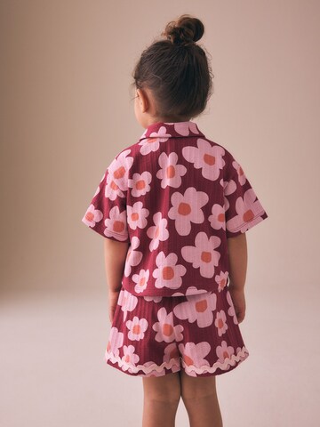 Next Set: Bluse und Shorts in Pink