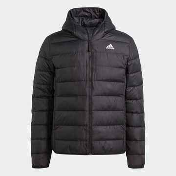 ADIDAS SPORTSWEAR Winter Jacket in Black