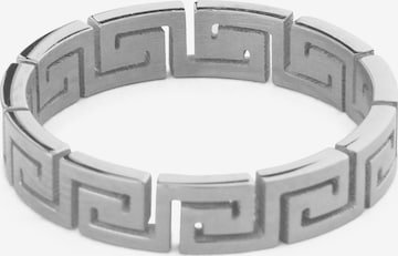 Akitsune Ring 'Argius' in Silver: front