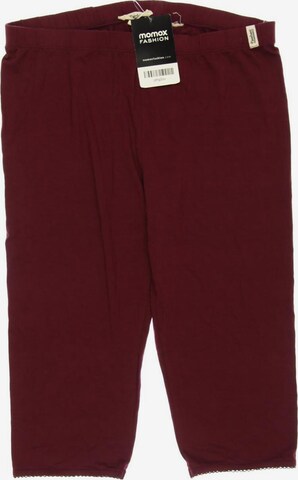 Deerberg Shorts in M in Red: front