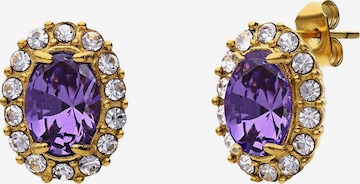 Lucardi Earrings in Gold: front