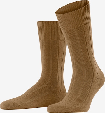 FALKE Socks 'Lhasa Rib' in Brown: front