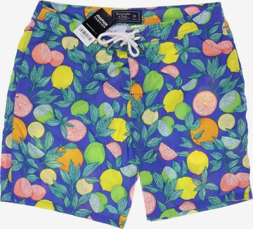 Abercrombie & Fitch Shorts 33 in Mischfarben: predná strana