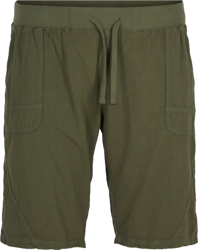 Zizzi Regular Shorts 'Jeasy' in Oliv Zizzi Regular Shorts 'Jeasy' in Oliv