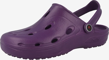 CHUNG SHI Clogs ' Dux ' in Purple: front