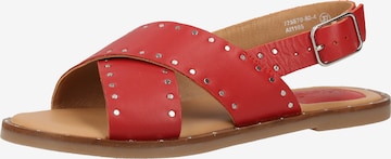 Kickers Sandals in Red: front