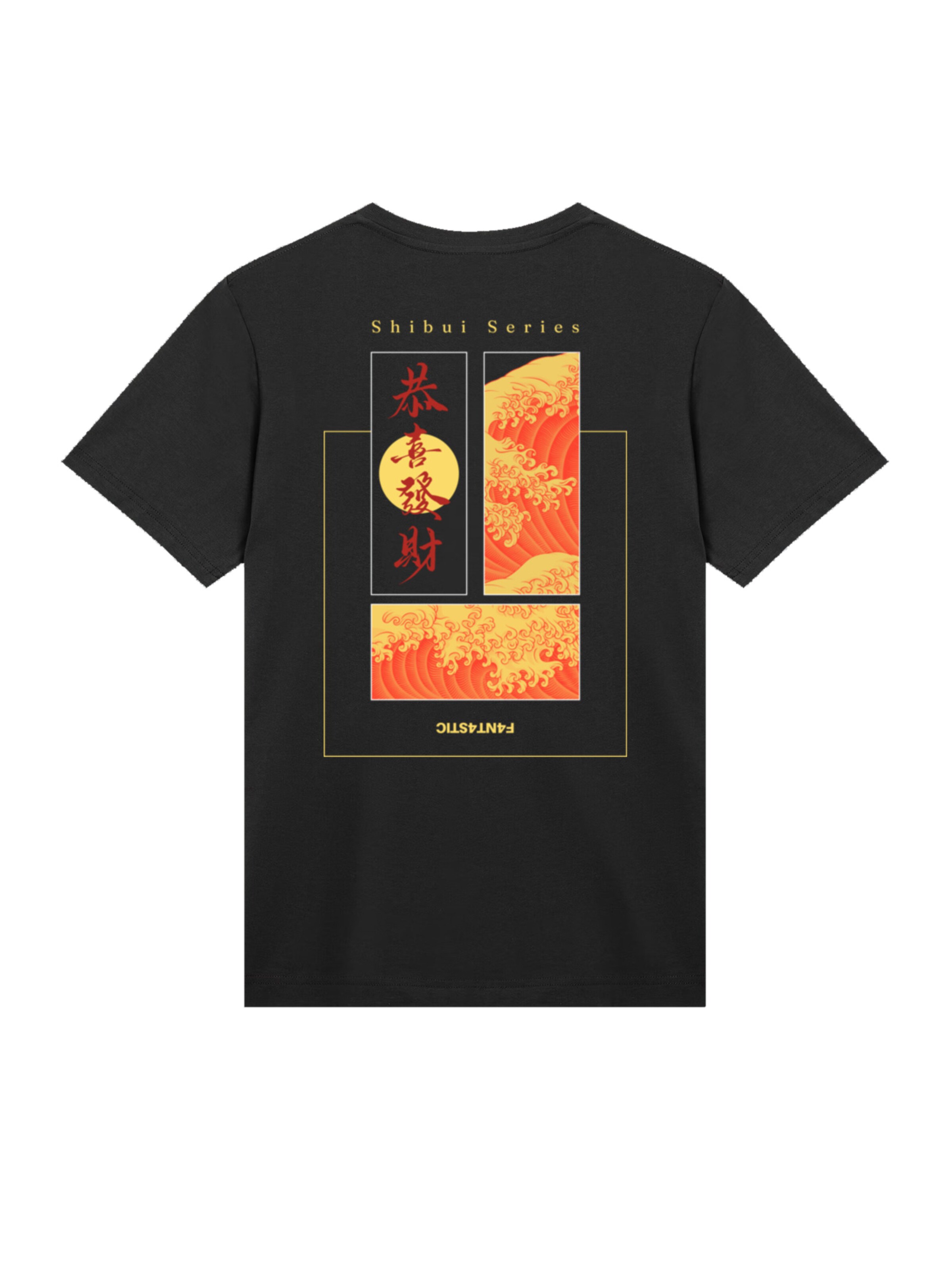 F4NT4STIC Shirt in Black