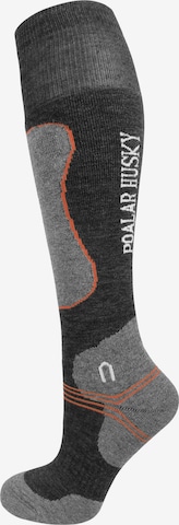 Polar Husky Knee High Socks in Black