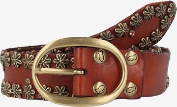 Ceinture Campomaggi en marron : devant