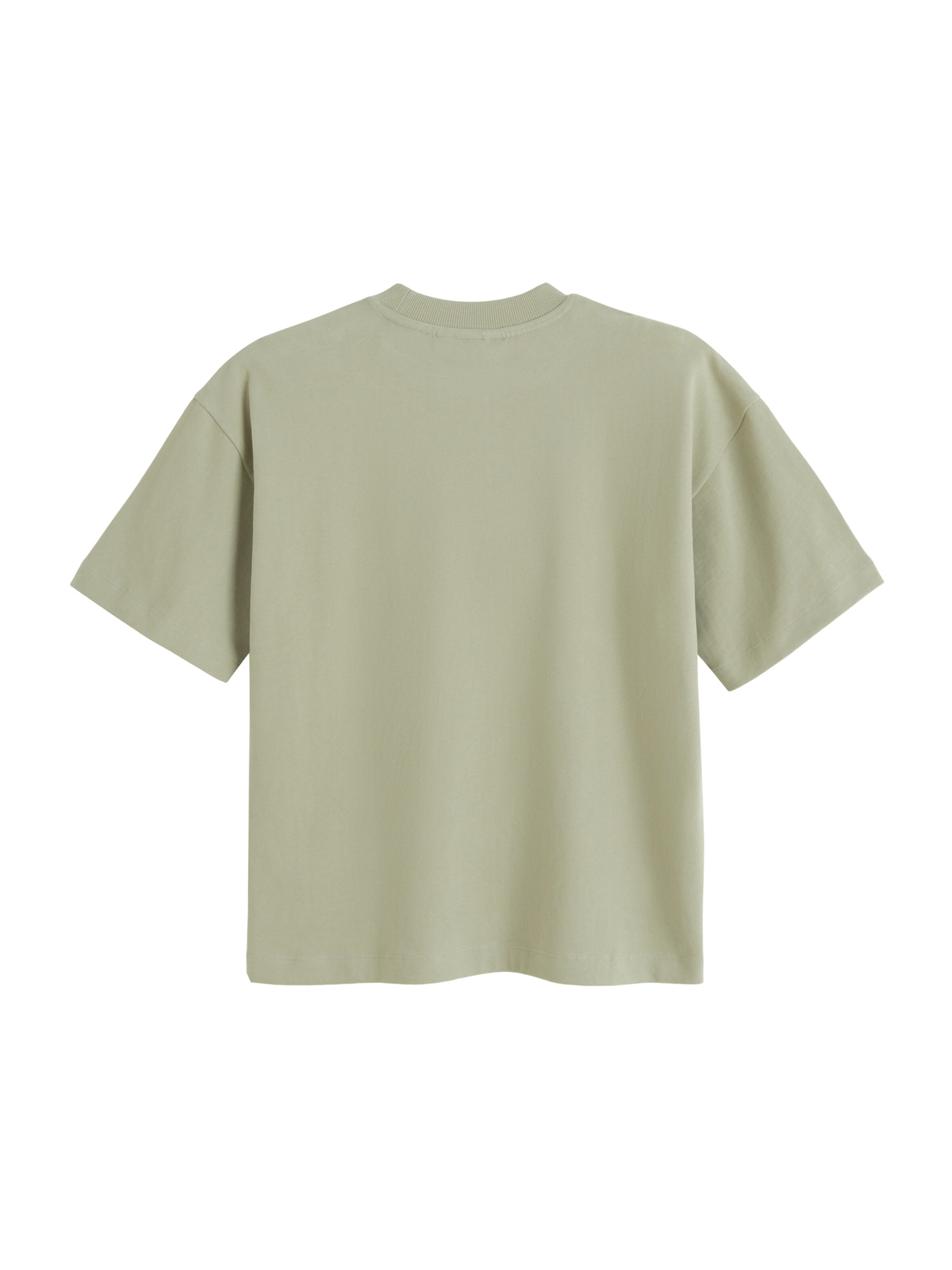 NoWear - Camisa em verde: atrás