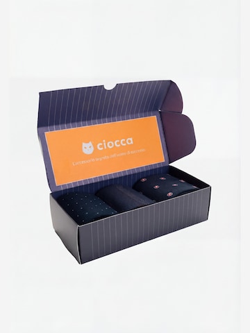 Ciocca Knee High Socks in Mixed colors