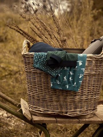 CALIDA Boxer shorts in Green