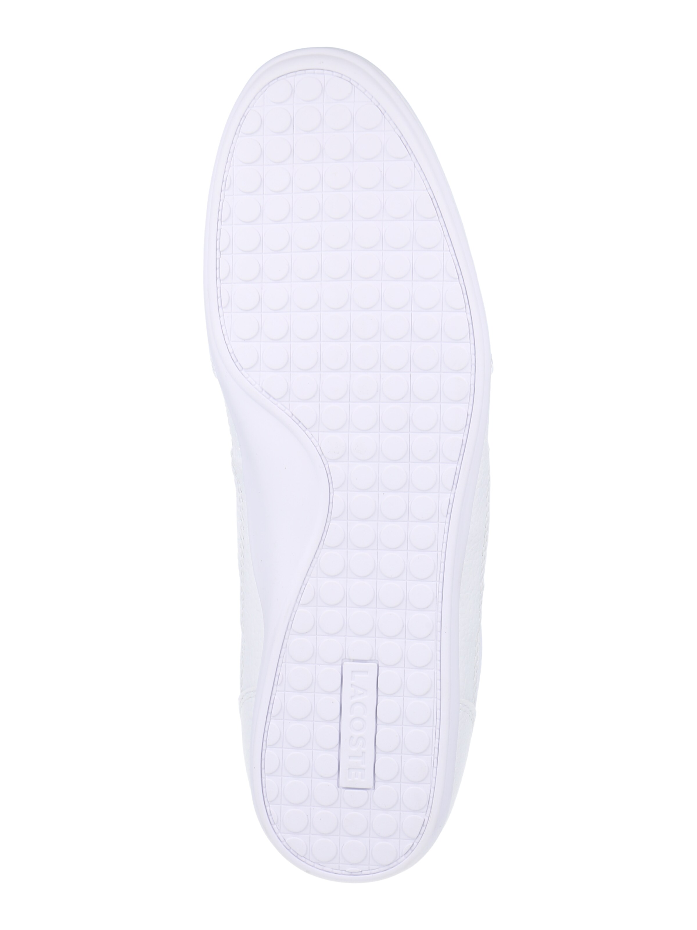 Chaussures Baskets basses Chaymon LACOSTE en Blanc 