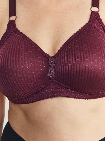 Bustier Soutien-gorge C&City en violet