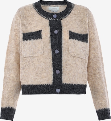 caneva Knit Cardigan in Beige: front