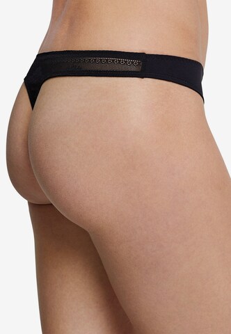 SCHIESSER Thong in Beige