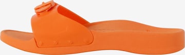 Mule SCHOLL en orange : devant