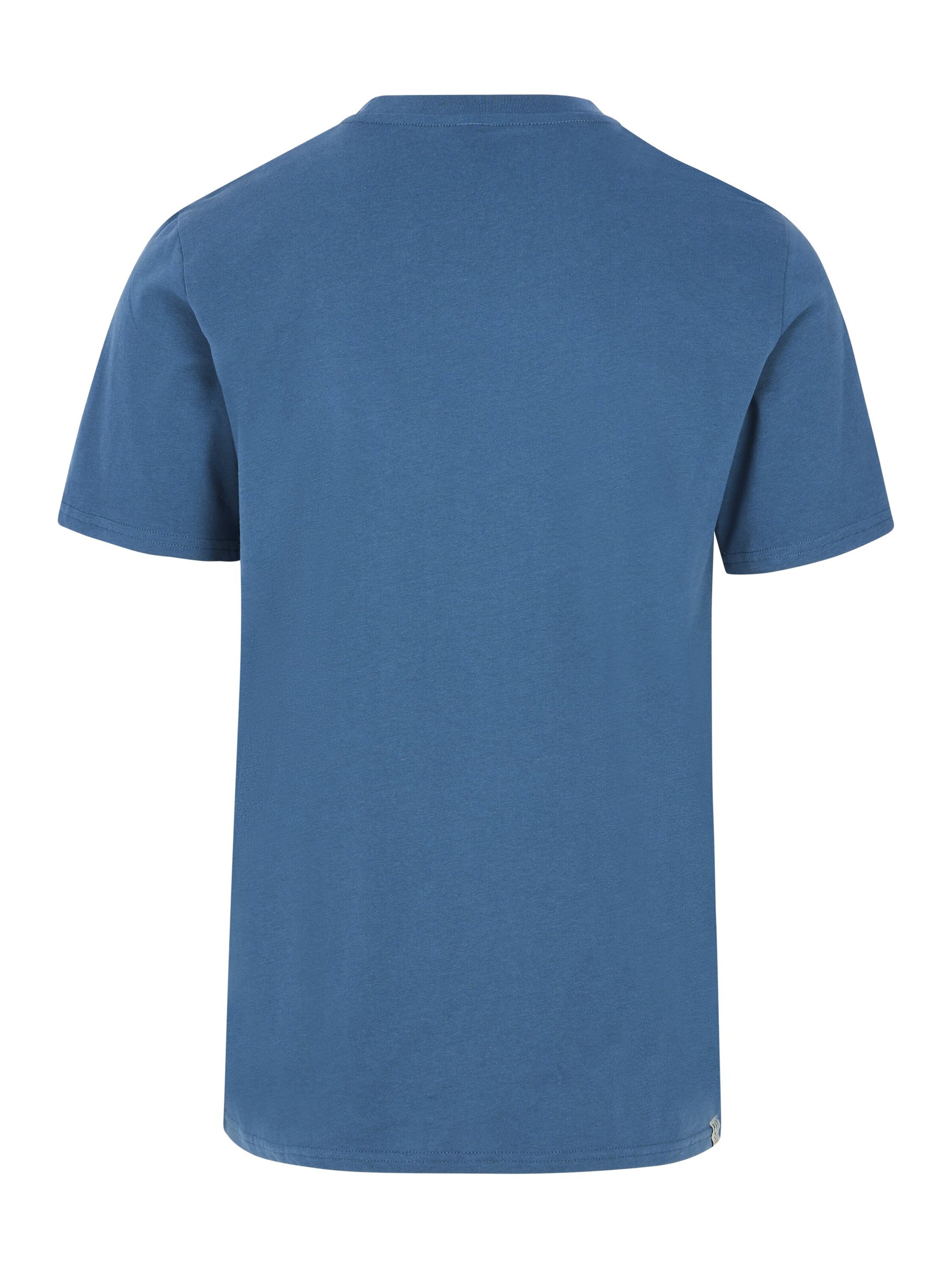 PROTEST Shirt 'PRTBarn' in Blue